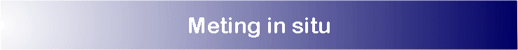 Meting in situ